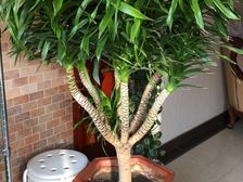 西青 华韵欧风博文苑 2室2厅