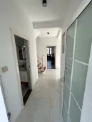 Ȫɽɭ�ֺ�