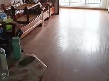 西青 柳兰花苑 2室1厅