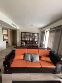 �����岨��������