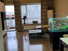 成华 华府沙河 3室2厅 116.70㎡ 246.80万