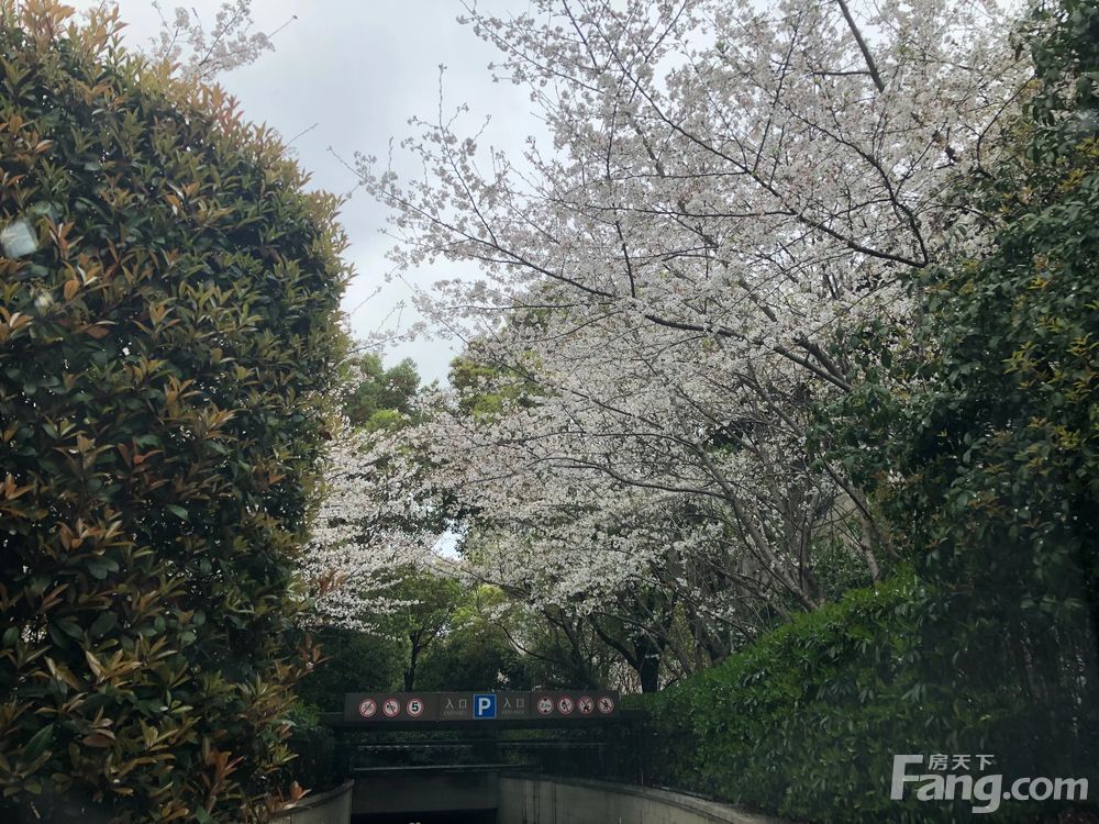 小区相关图