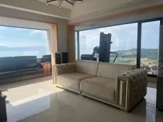 �߲�����?�ŵ�����