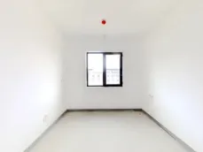 ����?�������