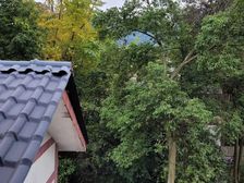 都江堰 假日青城 1室1厅 58.45㎡ 28万