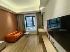 蚌山 奥园广场 1室1厅