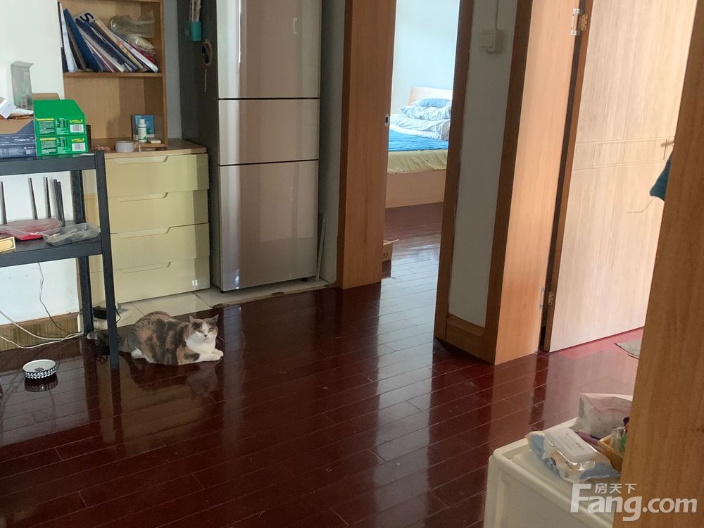 室内图