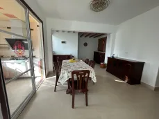 ŷ������