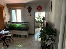 南线里南向两居 广内核心区温馨小窝