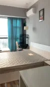 ���в������Ƶ깫Ԣ