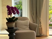 渝北 枫丹合院 4室5厅 333.00㎡ 980万