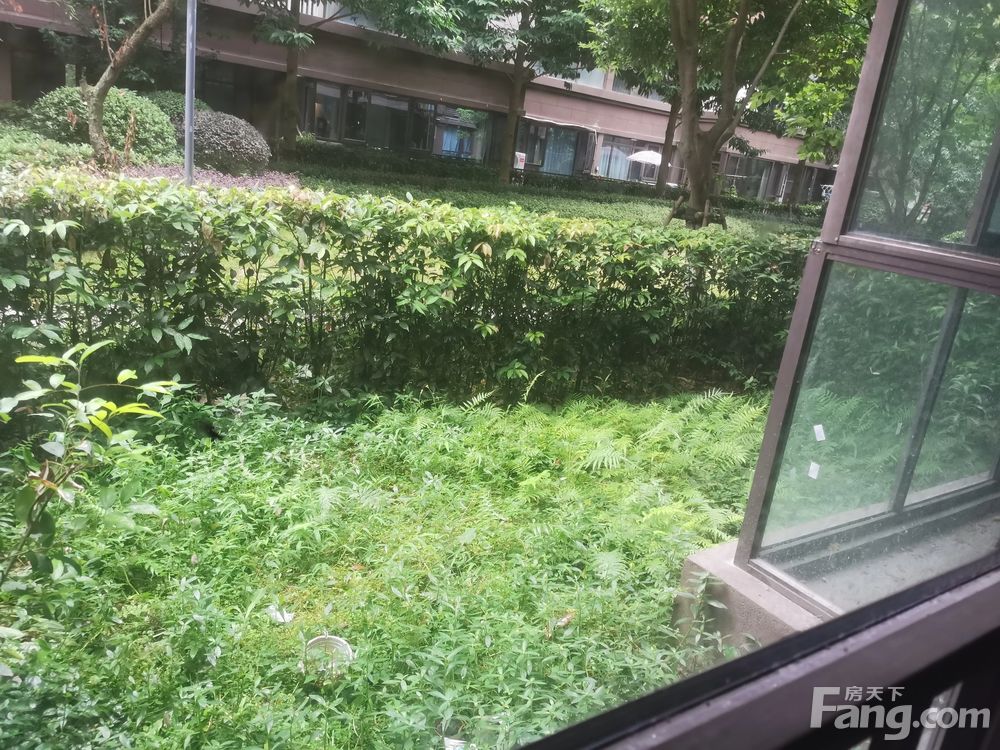 室内图