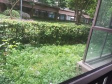 新都 金辉新城半岛云著 3室2厅 91.50㎡ 82万