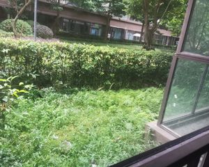 新都 金辉新城半岛云著 3室2厅 91.50㎡ 82万