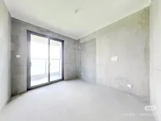 �ζ�?��������