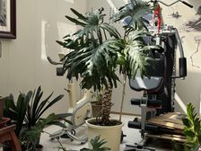 港领国际甲级写字楼出租 97平政务区黄金地段