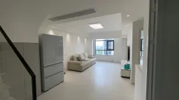 ���þ������ó�����
