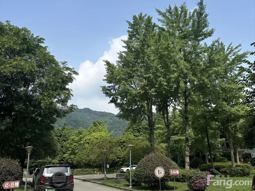 小区相关图