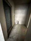 ��̩��