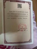 ��ľ�ָ�12-10��С��