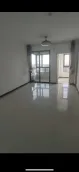 ��������Է