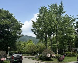 都江堰 假日青城 1室1厅 58.45㎡ 25万