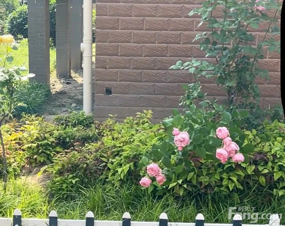 室内图