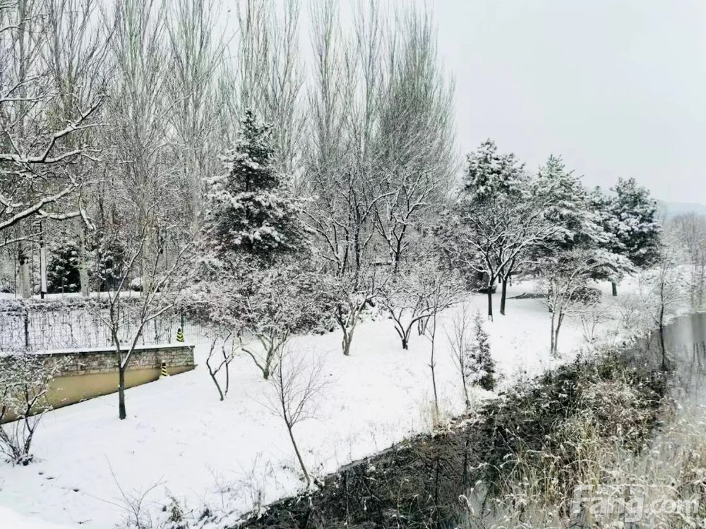 小区相关图