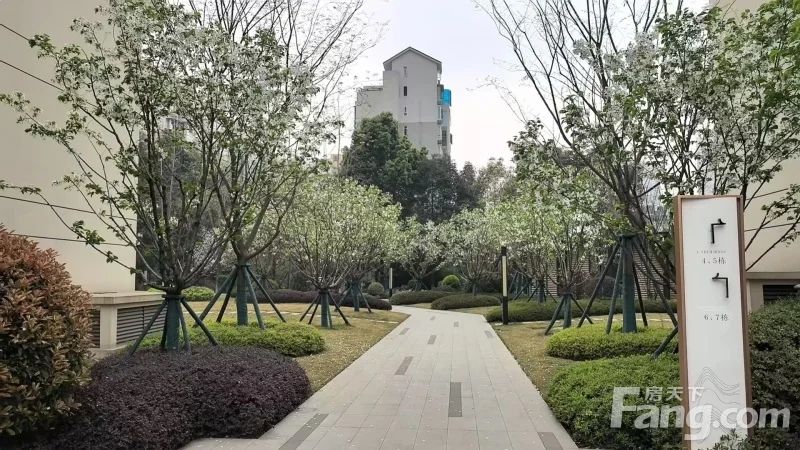 小区相关图