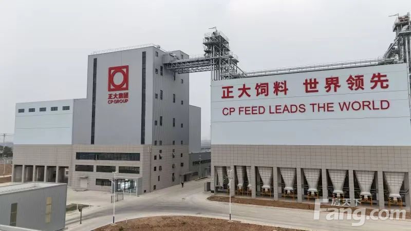 华南城香港汽车