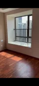 ��Ͷ�õ���ͩ��