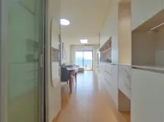��԰���³������