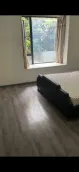 ���뵺��������
