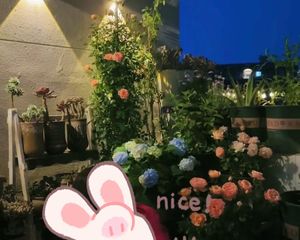 洋房九里香堤 4室2厅 带露台 电梯入户