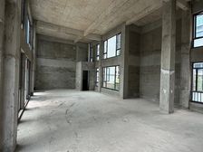 高新 中建天府公馆 1室0厅 119.55㎡ 248万