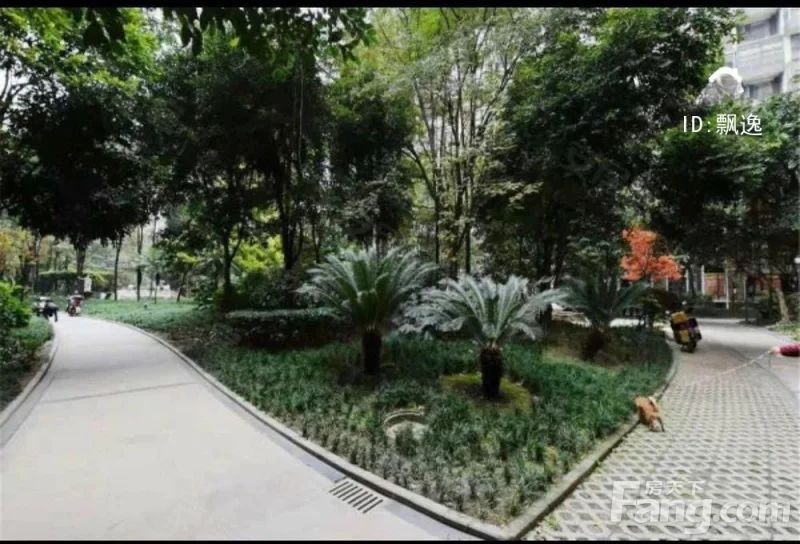 小区相关图