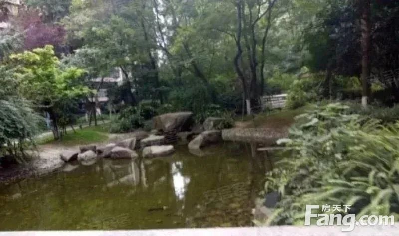 室内图