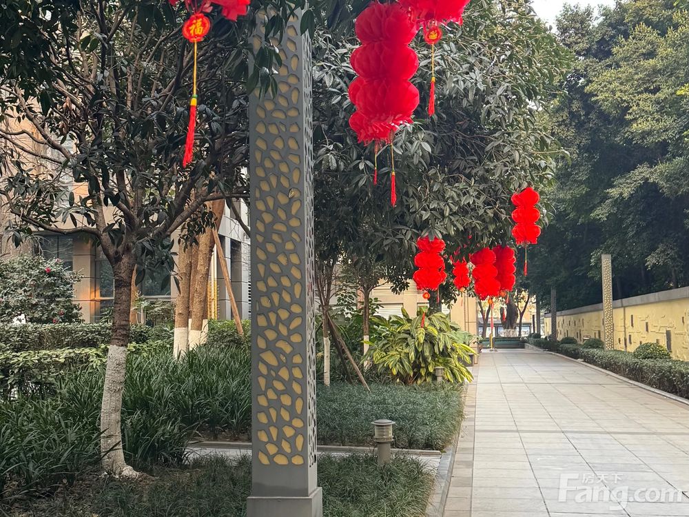 小区相关图